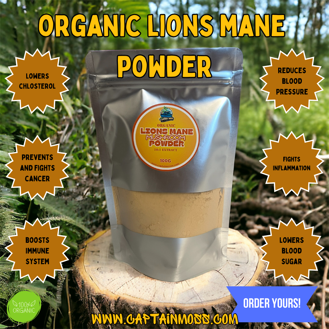 Organic Lions Mane Mushroom Powder 50:1 extract | 100G
