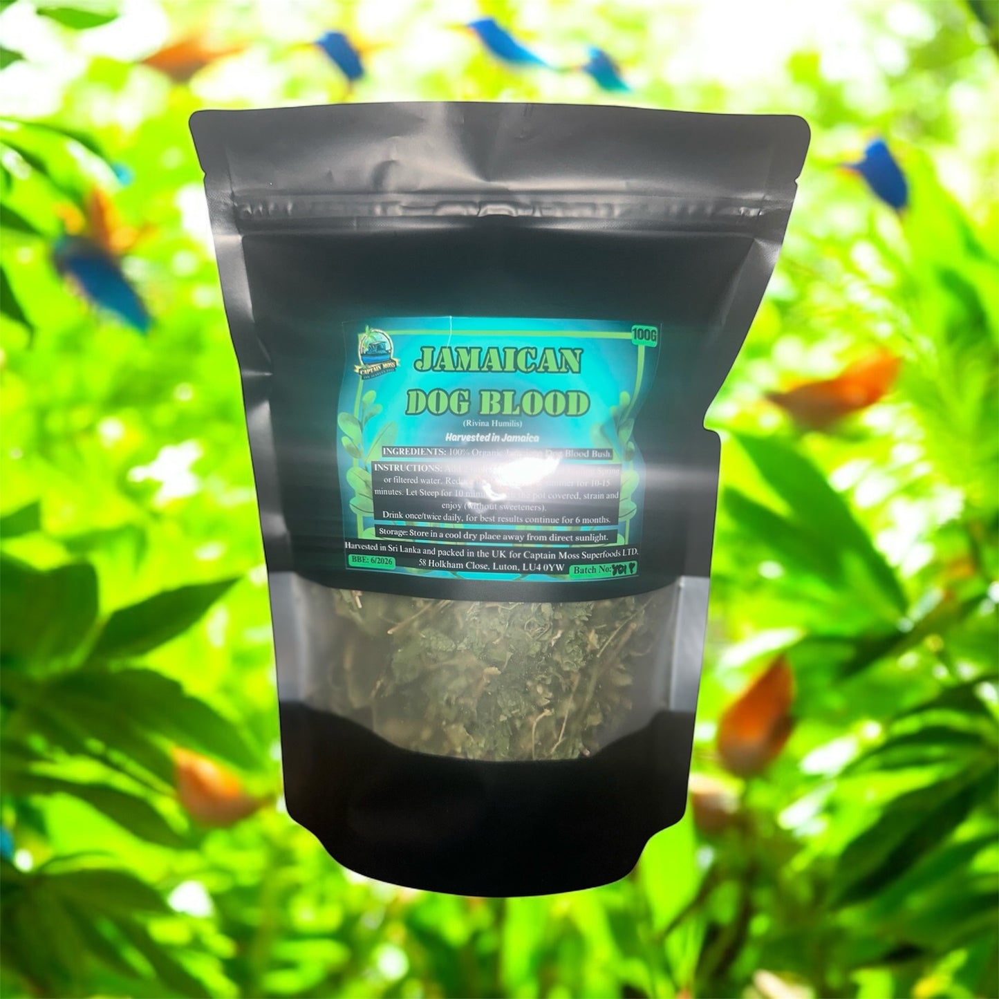 Wild Jamaican Dog Blood Bush Herb | Herbal Tea | 100G