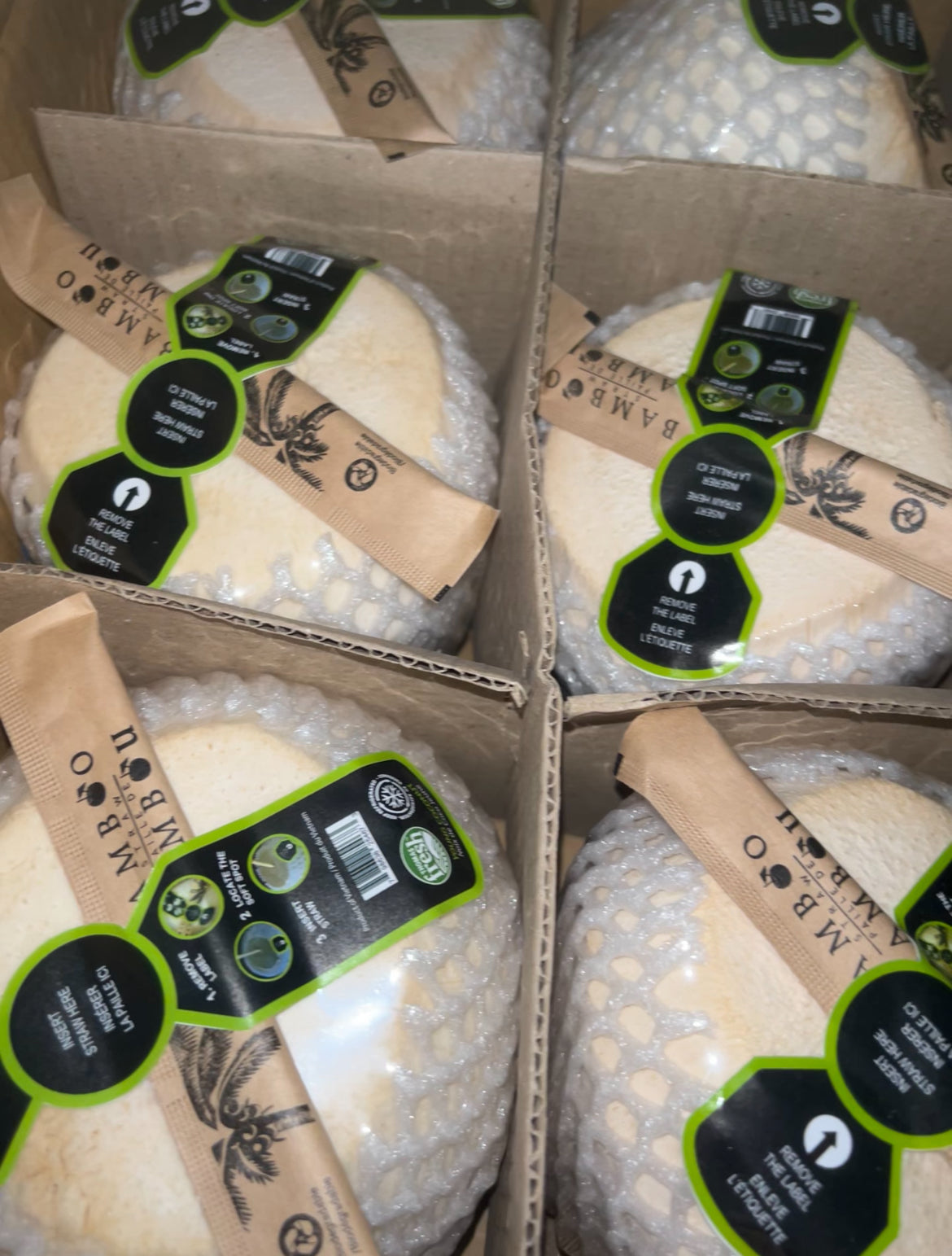 Fresh Young Coconut With Straw | Box of 9