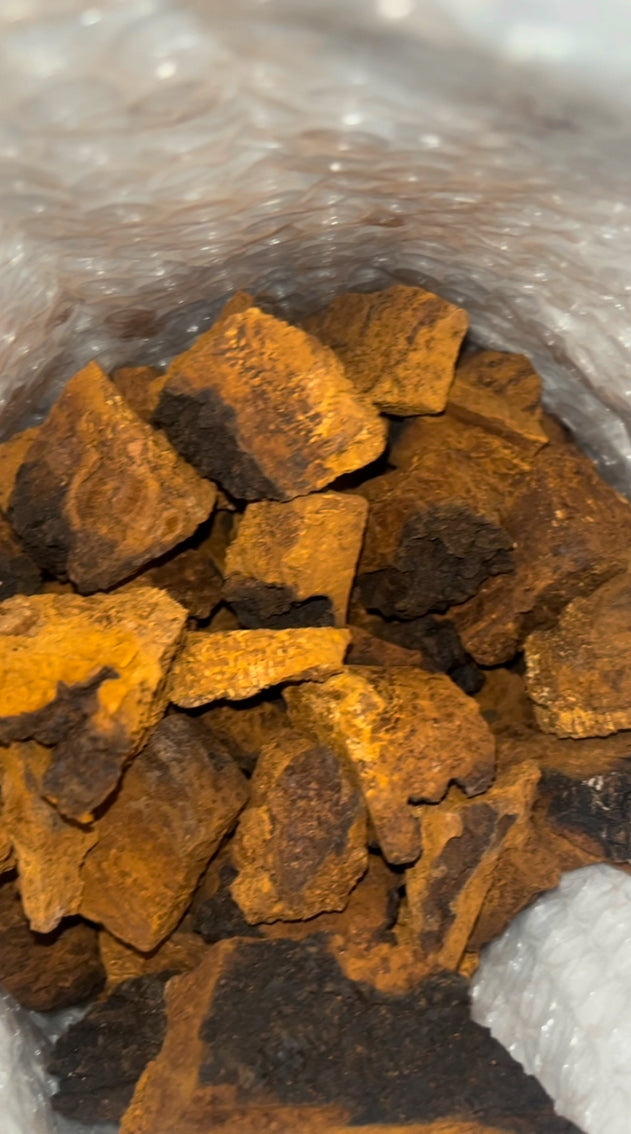 Organic Wild Harvested Chaga Mushroom Chunks