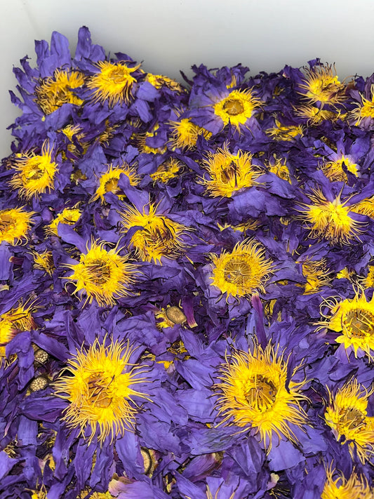 Premium Sun Dried Blue Lotus Flower