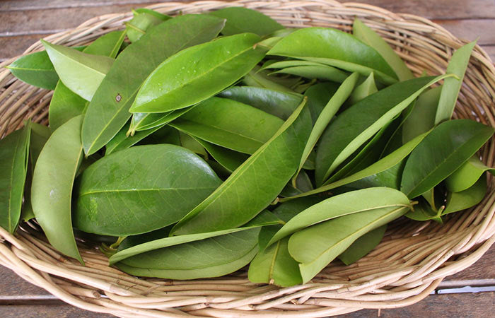 Dried Soursop Leaves, Perfect for Making Soothing Herbal Tea -  MyExoticFruit - The UK's leading Exotic Fruit Retailer