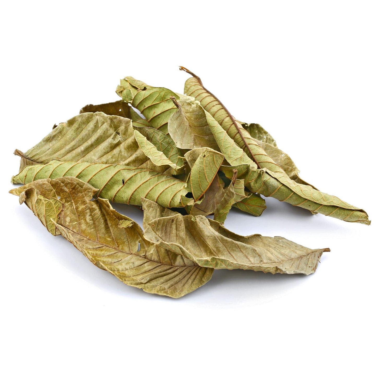 Wild Jamaican Guava Leaves | Dried | Grade A