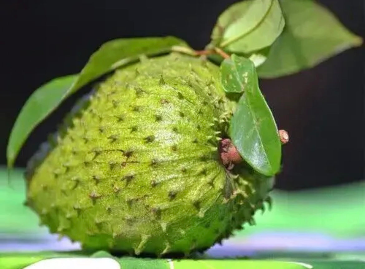 The Ultimate Organic Soursop Bundle