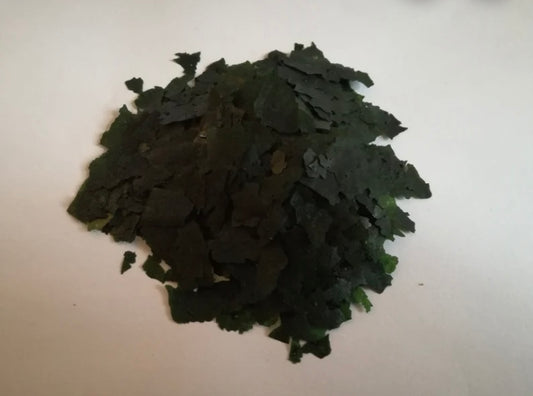 Marine Phytoplankton Powder, Freeze Dried