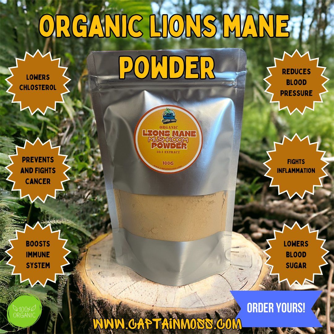 Organic Lions Mane Mushroom Powder 10:1 extract