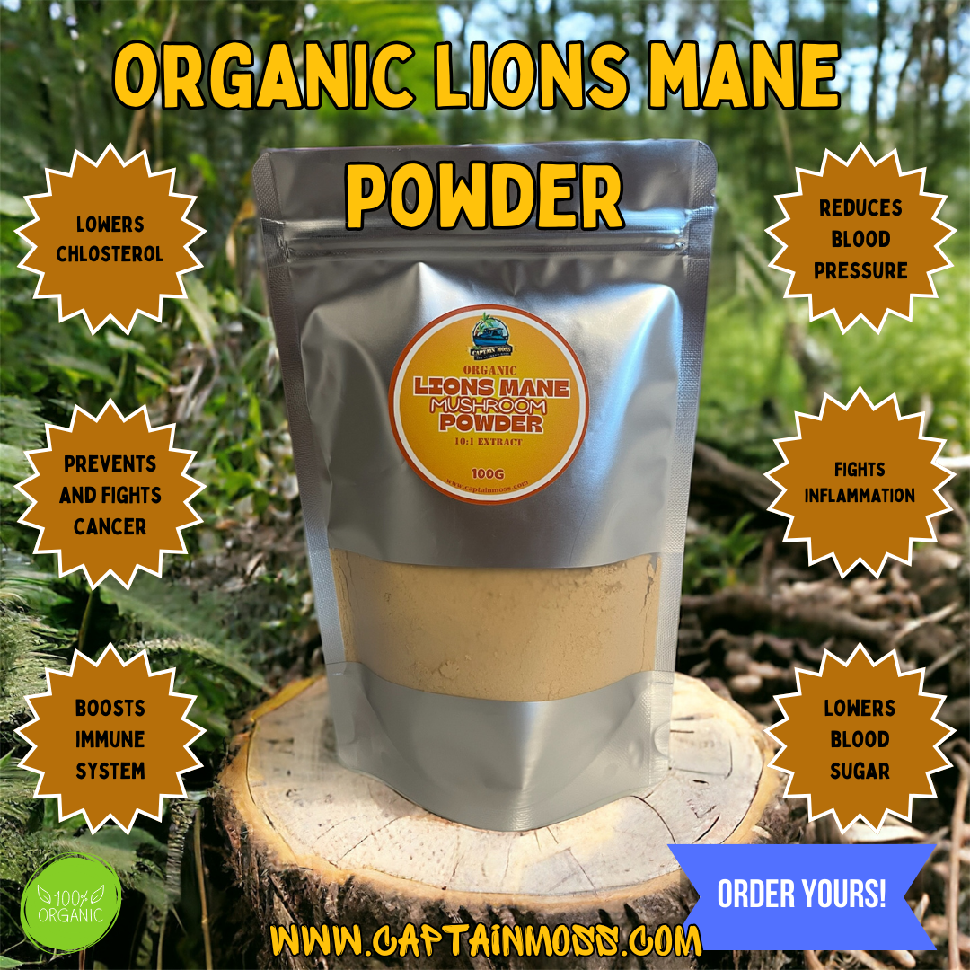 Organic Lions Mane Mushroom Powder 50:1 extract 100G