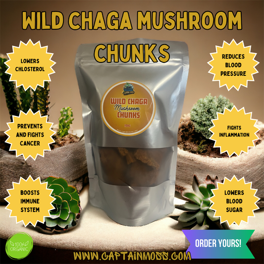 Organic Wild Harvested Chaga Mushroom Chunks
