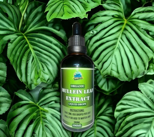 Mullein Leaf Liquid Extract 100ml | Alcohol Free