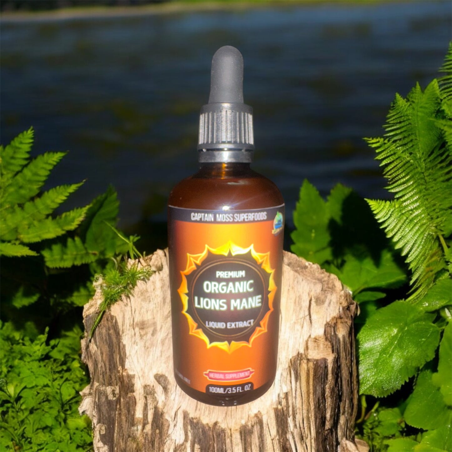 Organic Lion’s Mane Triple Extract Drops | Premium | 100ml | Alcohol Free | UK