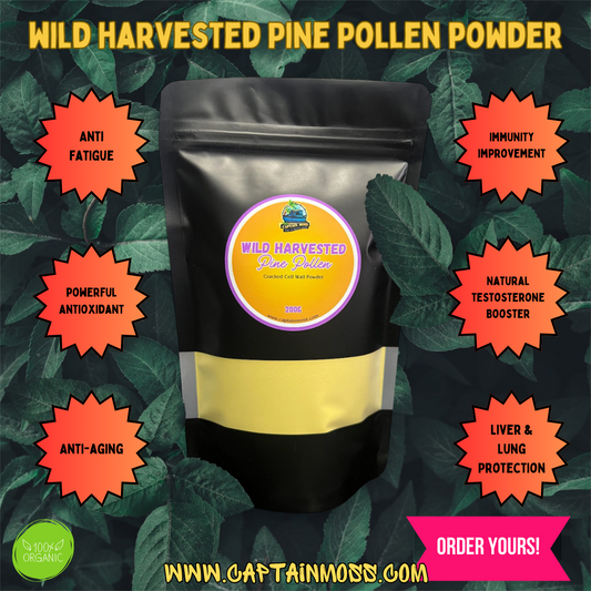 Wild Harvested Pine Pollen, Natural Testosterone Booster 100g