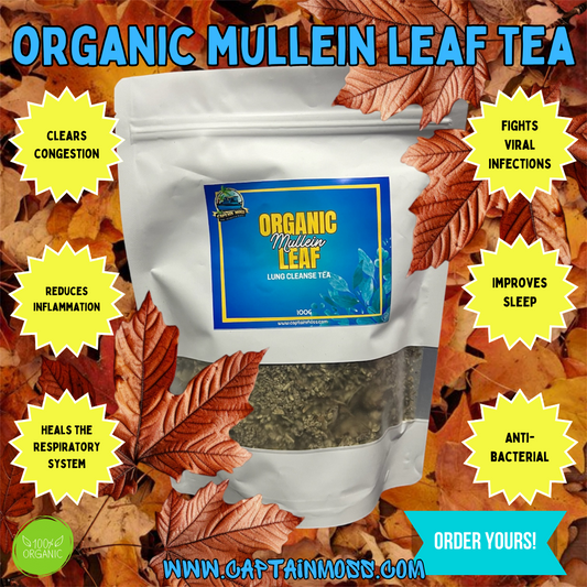 Organic Mullein Leaf - Lung cleanse Tea 100g
