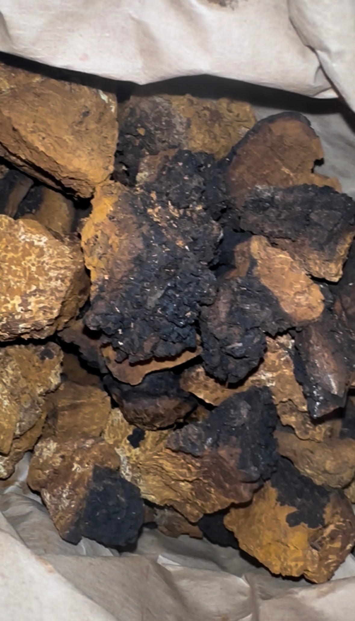 Organic Wild Harvested Chaga Mushroom Chunks