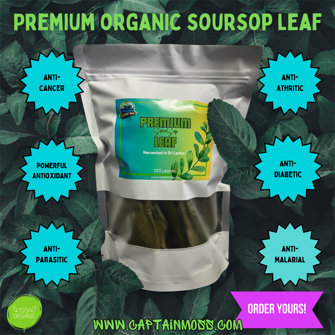 Organic Air Dried Soursop leaves