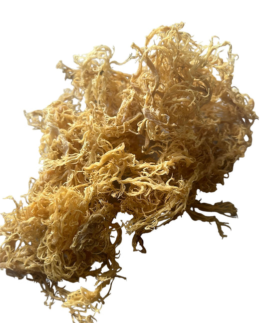 Premium, Wildcrafted Gold Spectrum Sea Moss