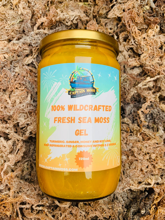 Premium Wildcrafted Sea Moss Gel 720ml - Immune Support - Ginger, Turmeric and Sidr Honey