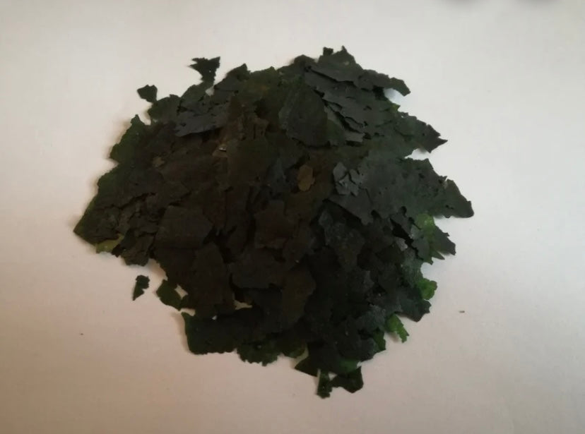 Marine Phytoplankton Powder, Freeze Dried